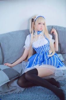 疯狂的蠢贼